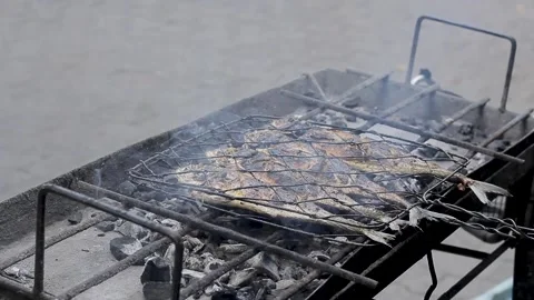 Grilling fish Stock Footage 295831199
