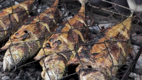 Grilling fish Stock Footage 295831218