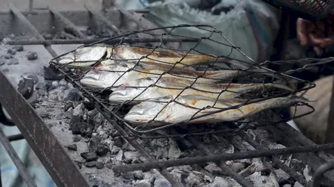 Grilling fish Stock Footage 295831219