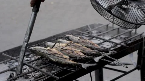 Grilling fish Stock Footage 295831284