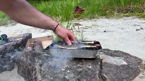 Grilling fish Stock Footage 337364543