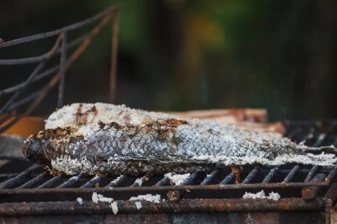 Grilling fish on framfire Stock Photos