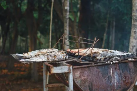 Grilling fish on framfire Stock Photos