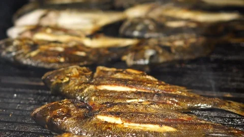 Grilling fish. Night party concept. 스톡 동영상 110641067