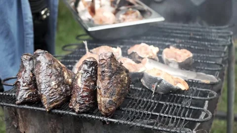 Grilling fish on open fire grill Stock Footage 283872419