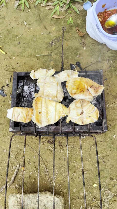 Grilling Fish Outdoors Stock Footage 332335614