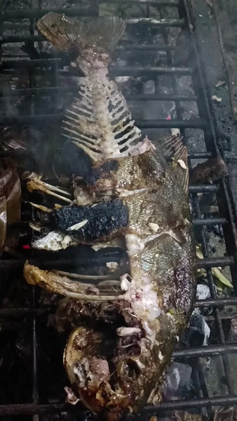 Grilling fish over smoky hot charcoal	 Video stock 285605853