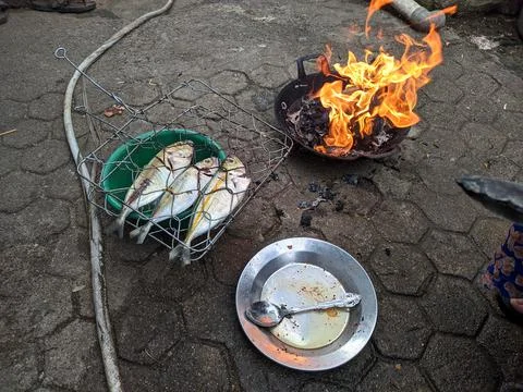Grilling fish Stock Photos