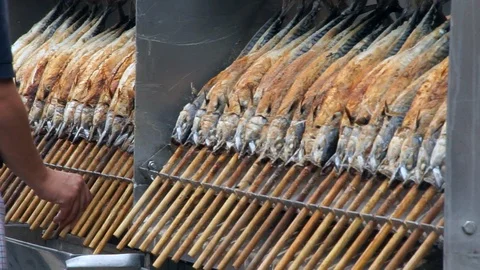 Grilling fish on a stick Stock Footage 89666188