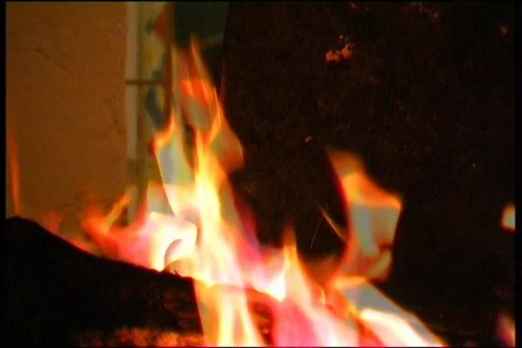 Grilling Stock Footage 370957