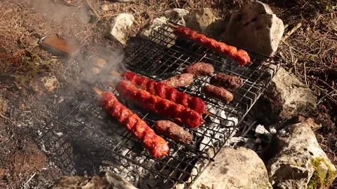 Grilling Kebabs on Campfire Stock Footage 326787195