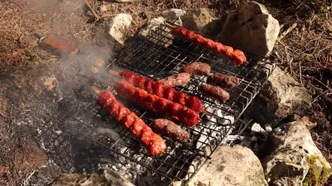 Grilling Kebabs on Campfire (Slow Motion) Stock Footage 326787265