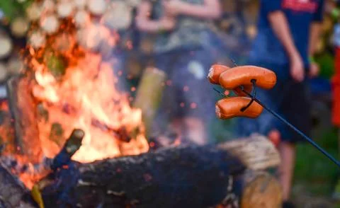Grilling meat on a fire. Stock Photos