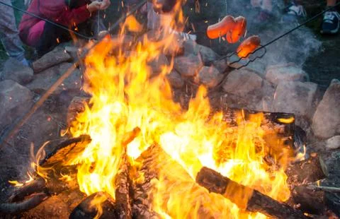 Grilling meat on a fire. Stock Photos