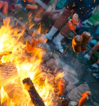 Grilling meat on a fire. Stock Photos
