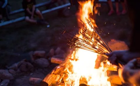 Grilling meat on a fire. Stock Photos
