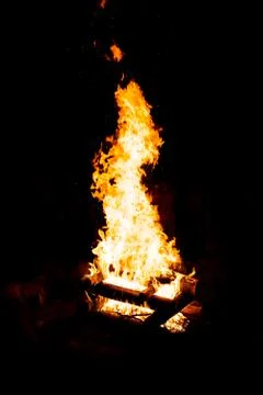 Grilling meat on a fire. Stock Photos