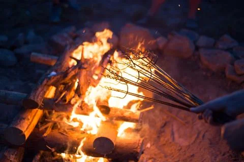 Grilling meat on a fire. Foto stock