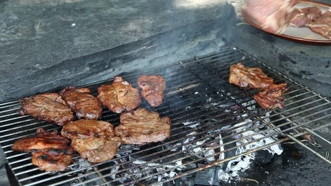 Grilling meat Stock Footage 100710874