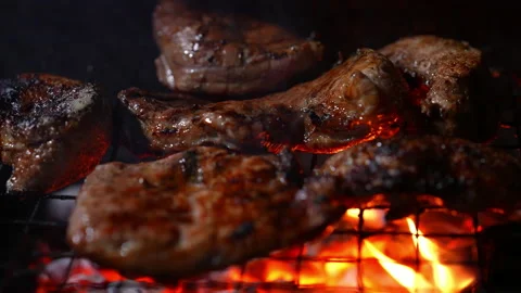 Grilling meat on hot fire flame of slow motion in camping on night Vídeos de archivo 228821055