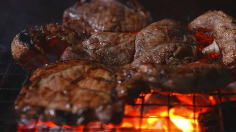 Grilling meat on hot fire flame of slow motion in camping on night 스톡 동영상 228821371