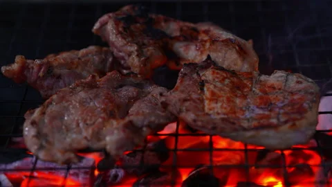 Grilling meat on hot fire flame of slow motion in camping on night Vídeos de archivo 228822754