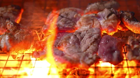 Grilling meat on hot fire flame of slow motion in camping on night Stock Footage 228822957