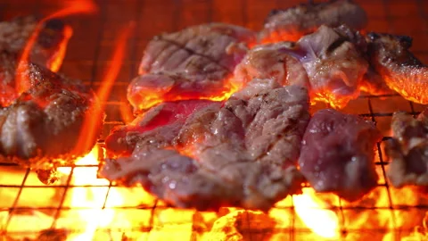 Grilling meat on hot fire flame of slow motion in camping on night 库存影片 228822983