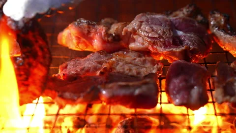 Grilling meat on hot fire flame of slow motion in camping on night 動画素材 228823172