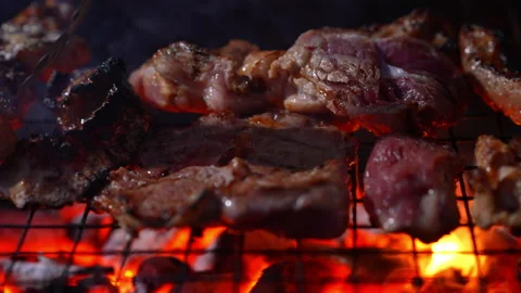 Grilling meat on hot fire flame of slow motion in camping on night 库存影片 228823272
