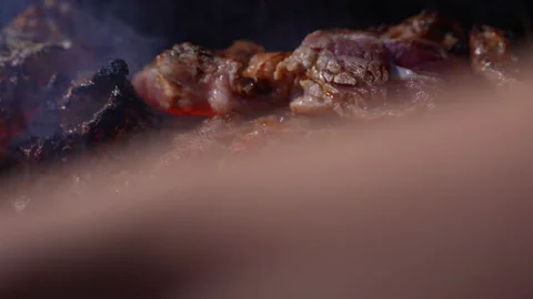 Grilling meat on hot fire flame of slow motion in camping on night Vídeos de archivo 228823299