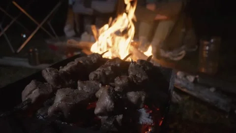 Grilling meat over open fire at nighttime camp 库存影片 301402368