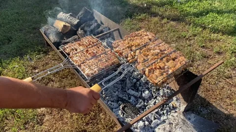 Grilling Meat in Wire Rack and Turning on Campfire Outdoors Stock Footage 314191823