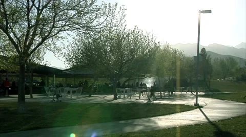 Grilling in the park Stockbeeldmateriaal 49315273