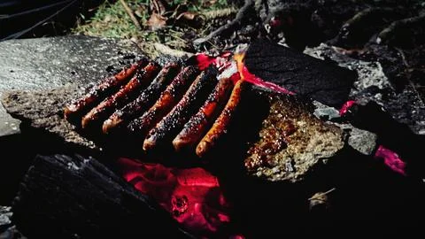 Grilling party 写真素材