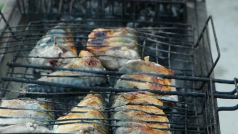 Grilling pieces of fish on charcoal, close-up. Видео 228039712