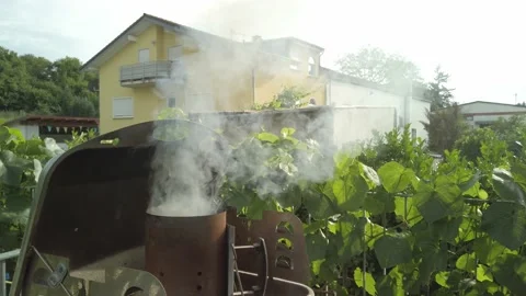 Grilling preparation for barbeque 7 Stock Footage 202324239