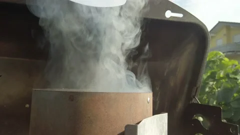 Grilling preparation for barbeque 8 Stock Footage 202324177