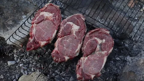 Grilling Raw Beef Steak on Campfire Stock Footage 303517452