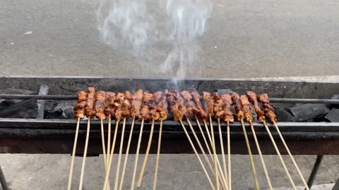 Grilling satay or skewered chicken meat on hot coal Stock Footage 221303417