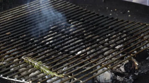 Grilling sausage  Stock Footage 65655884
