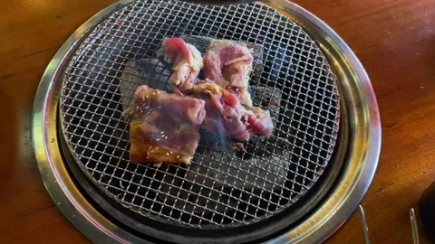 Grilling thin beef slices on stainless steel grill with charcoal Stock Footage 307105101