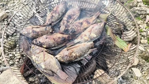 Grilling Tilapia Fish Using Coconut Husk Fire, Traditional Indonesian Cooking Stock Footage 327936396
