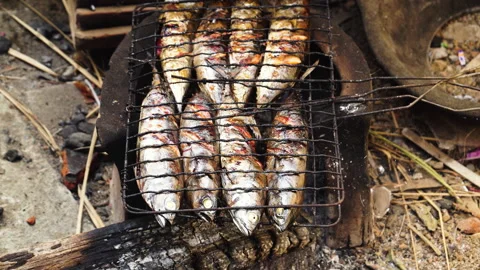 Grilling of tiny tuna fish in local indigenous indonesian town Stock Footage 244046915
