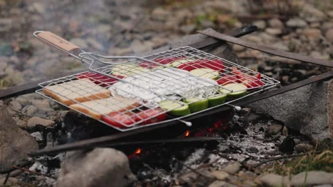 Grilling vegetables and foil-wrapped food over a campfire during an outdoor Video stock 323678967