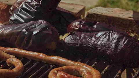 Grilling Vegetables over Wood Fire for Traditional Romanian Zacusca Video stock 288688409
