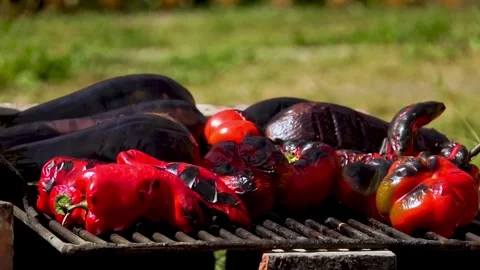 Grilling Vegetables over Wood Fire for Traditional Romanian Zacusca Video stock 288689095