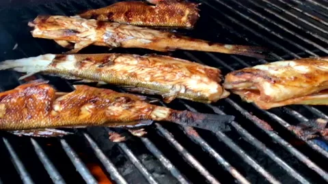 Grilling Walleye Fish Stock Footage