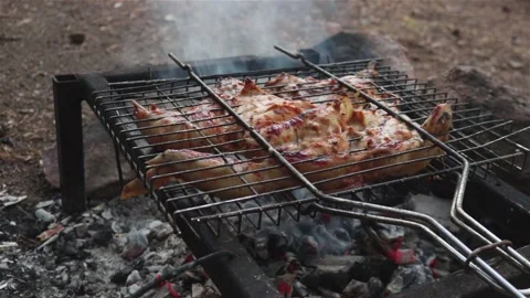 Grilling whole chicken on open fire outdoor cooking Stock Footage 125460554