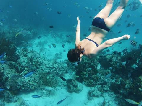 Grils scuba diving Foto stock